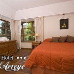 Apart Hotel del Arroyo